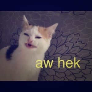 Meet your Posher, F. Stearns